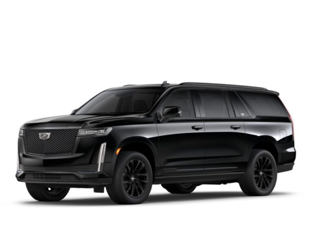 Luxury Transport Services South Florida